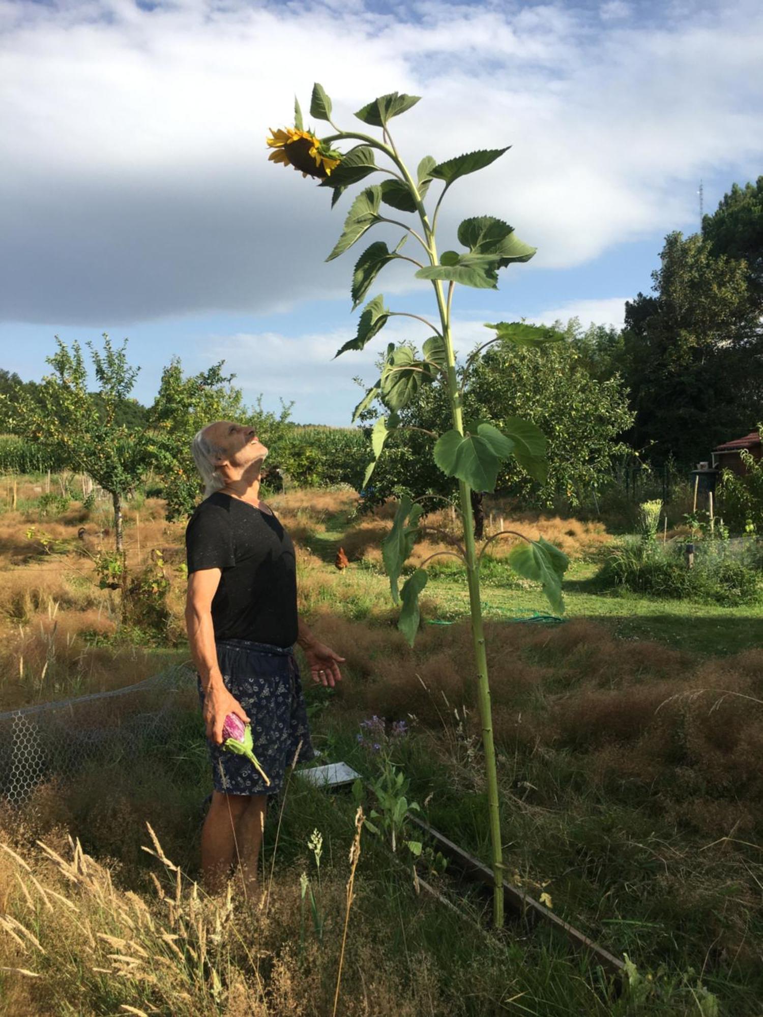 La Dorepontaise Roulotte Parque de Campismo *