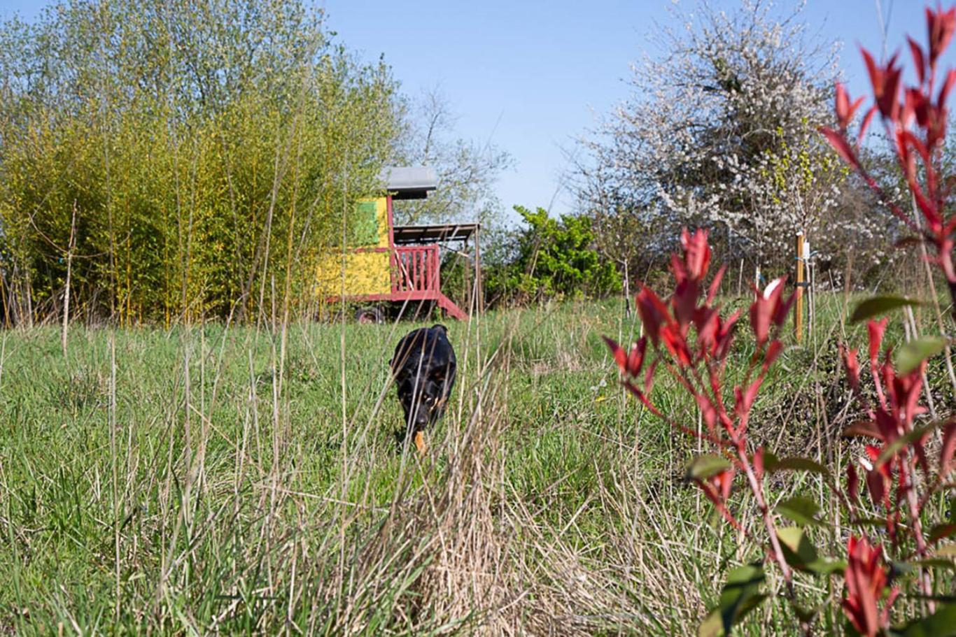 Camping La Dorepontaise Roulotte Pondaurat