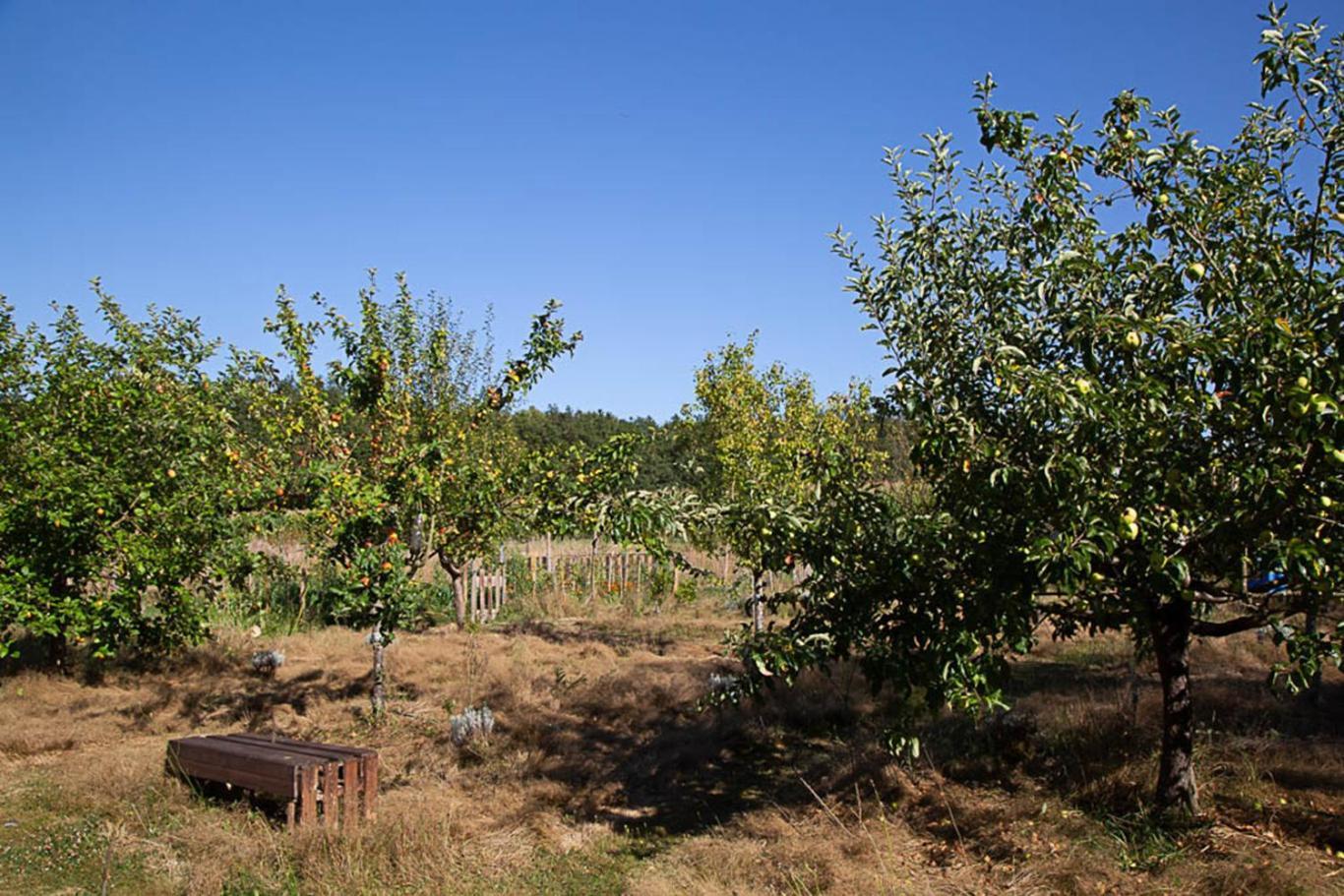 Campsite La Dorepontaise Roulotte Pondaurat